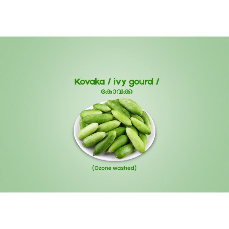 Kovaka / ivy gourd /കോവക്ക - 250g Pack ( Ozone Washed)